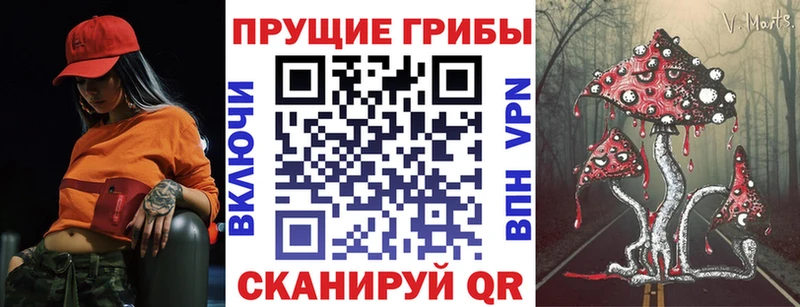 купить  сайты  Красково  Галлюциногенные грибы Magic Shrooms 